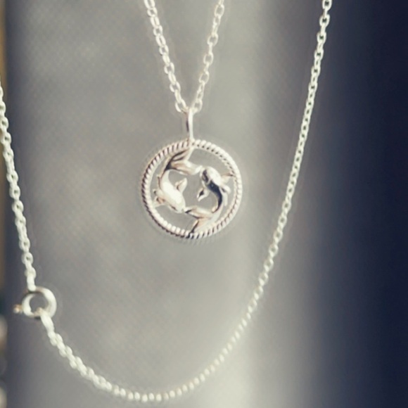 Sterling Silver Pisces Necklace - Picture 3 of 12